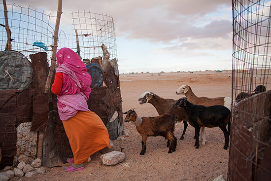 البوليساريو تهرب التمور من المخيمات نحو موريتانيا