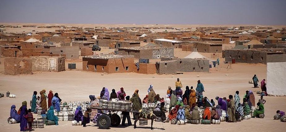 كانت المدرسة الوحيدة هي الوزارة.. كيف لهف «رئيس وزراء البوليساريو» مكافأتي